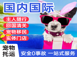 曹家堡航空邮寄国际宠物托运 【国